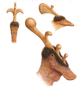 dinosaure � andouillets