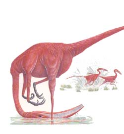 dinosaure flamant rose