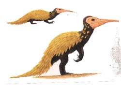 dinosaure fourmilier