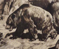 ours des cavernes